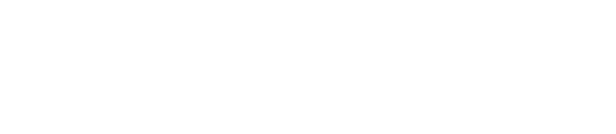 partner 16